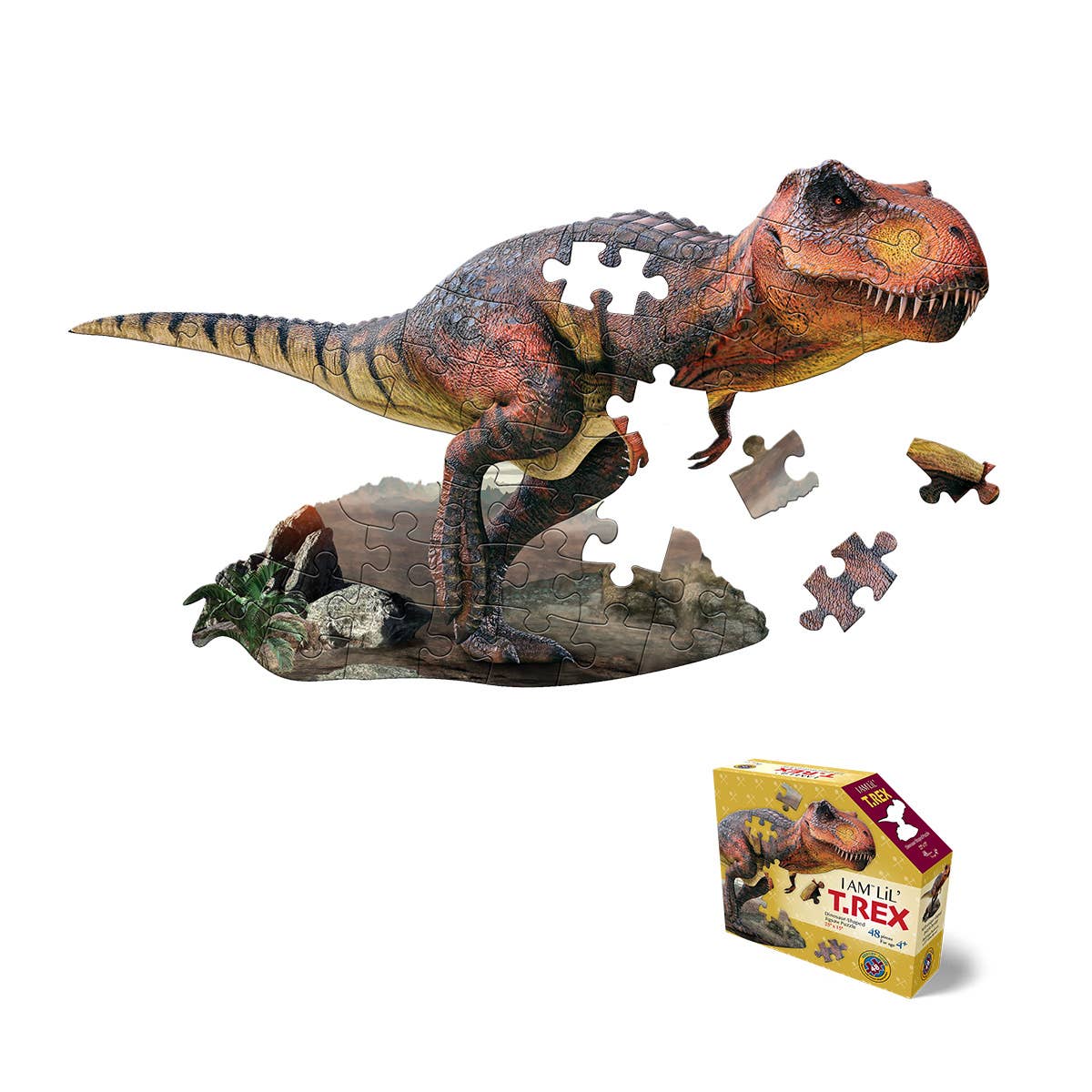 I AM LiL' T. REX 48