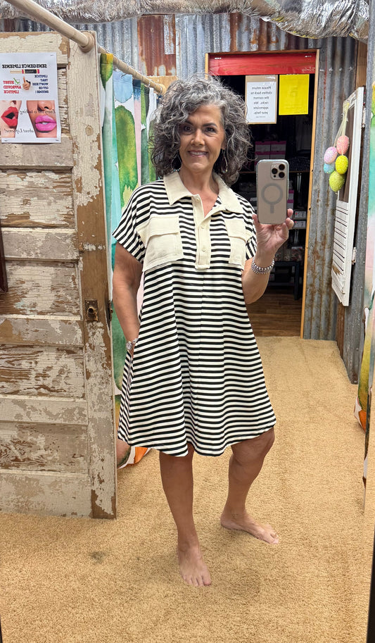 BLACK/CREAM DOLMAN SLEEVE KNIT POLO DRESS