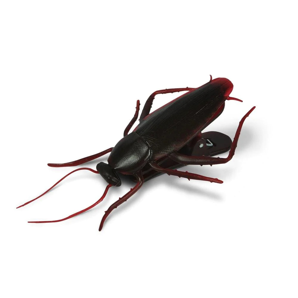 ROACH CLIPS for chips