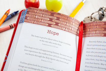 Prayers & Promises for Teachers (Devo - Gifts for Teachers)