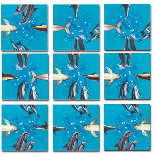 Dolphins Scramble Squares
