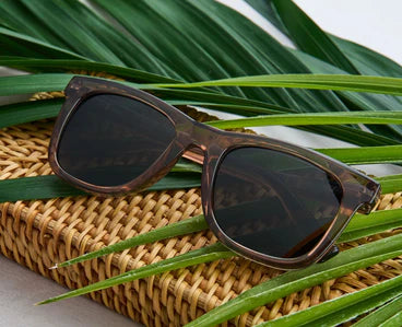 Harbor Bifocal Sun - Warm Gray Readers by Peepers