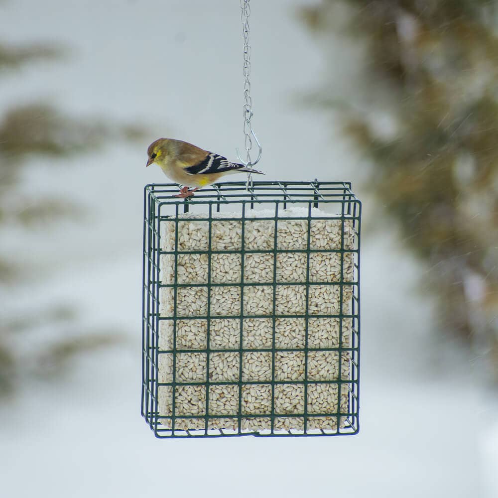 NeatFeeder: Small
