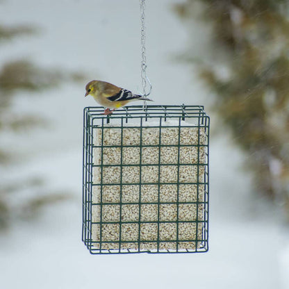 NeatFeeder: Small