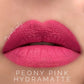 HydraMatte Long-Lasting Matte Lip Color