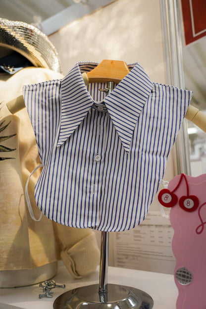 BLUE & WHITE STRIPED COLLAR