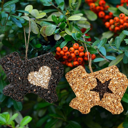 Lone Star Seed Treat