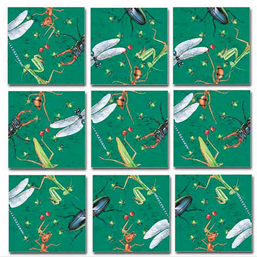 Insects Scramble Squares