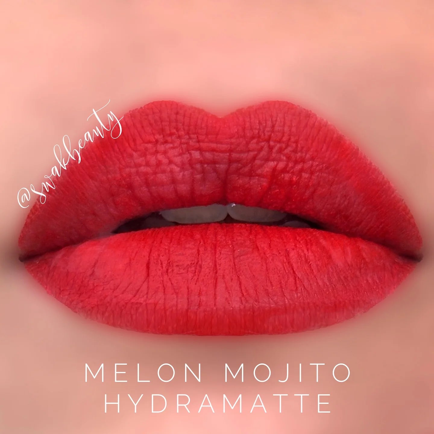 HydraMatte Long-Lasting Matte Lip Color